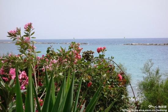 【<a data-cke-saved-href='http://travel.sina.com.cn/saipulusi-lvyou/?from=b-keyword' href='http://travel.sina.com.cn/saipulusi-lvyou/?from=b-keyword' target='_blank'>塞浦路斯</a>】<a data-cke-saved-href='http://travel.sina.com.cn/limasuoer-lvyou/?from=b-keyword' href='http://travel.sina.com.cn/limasuoer-lvyou/?from=b-keyword' target='_blank'>利马索尔</a>(Limassol)海边漫步