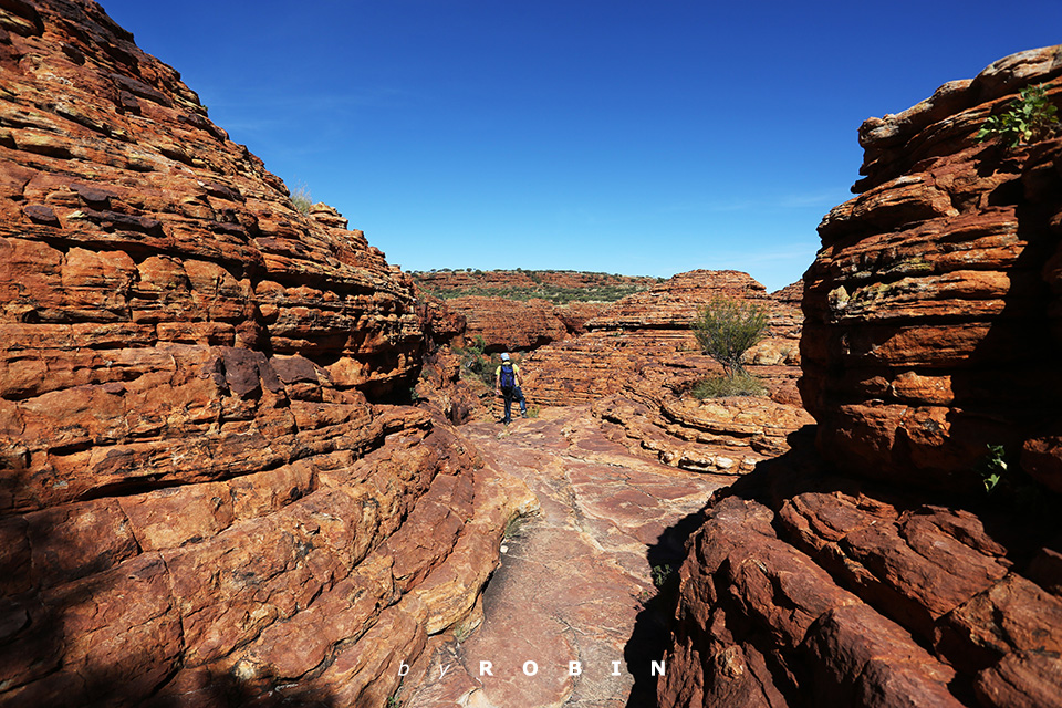 纵贯<a data-cke-saved-href='http://travel.sina.com.cn/aodaliya-lvyou/?from=b-keyword' href='http://travel.sina.com.cn/aodaliya-lvyou/?from=b-keyword' target='_blank'><em><em><em>澳大利亚</em></em></em></a>—国王谷暴晒六公里