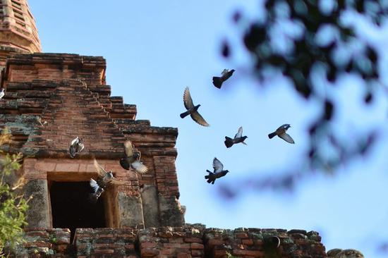 【原创】古佛国<a data-cke-saved-href='http://travel.sina.com.cn/pugan-lvyou/?from=b-keyword' href='http://travel.sina.com.cn/pugan-lvyou/?from=b-keyword' target='_blank'>蒲甘</a>:出门见佛塔,步步遇菩萨