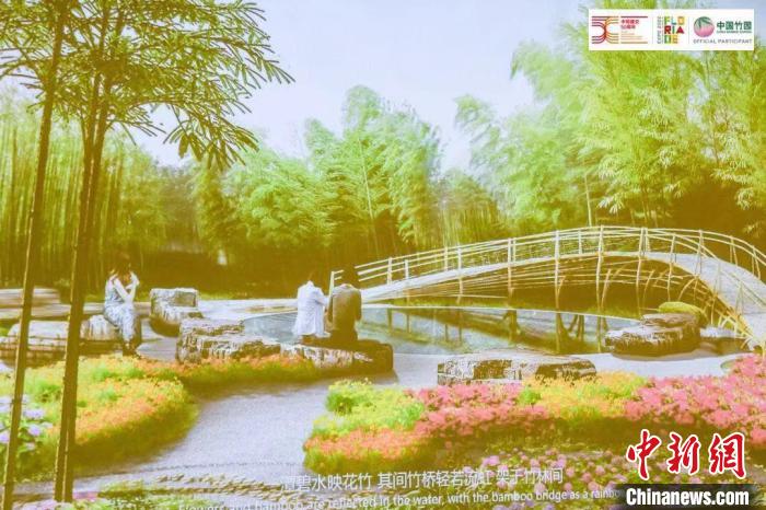 图为活动现场通过视频展示“中国竹园”设计方案。 荷兰驻华大使馆供图 图为活动现场通过视频展示“中国竹园”设计方案。 荷兰驻华大使馆供图