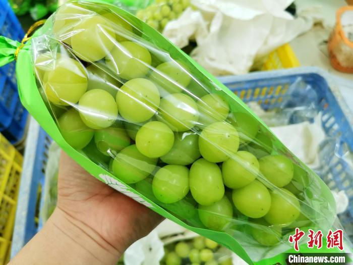 资料图:列入“特级果”的香印葡萄。 李晓春 摄 资料图:列入“特级果”的香印葡萄。 李晓春 摄