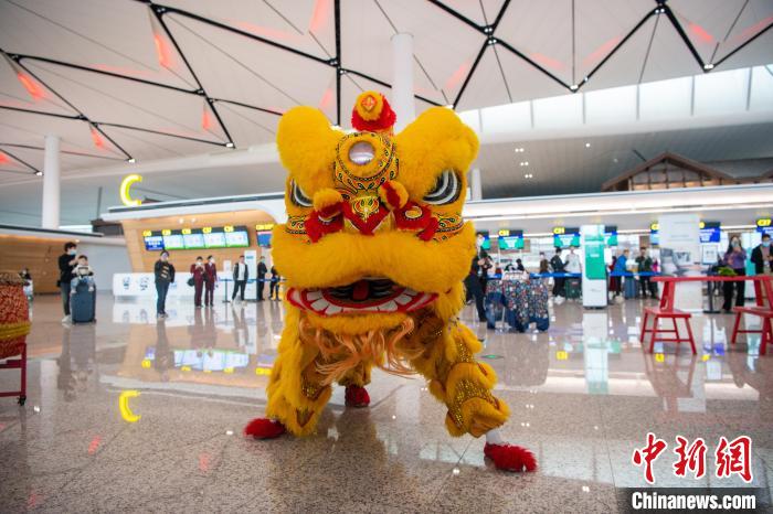 首航仪式邀请舞狮团队在新航柜台前舞狮助兴。 新航 供图 首航仪式邀请舞狮团队在新航柜台前舞狮助兴。 新航 供图